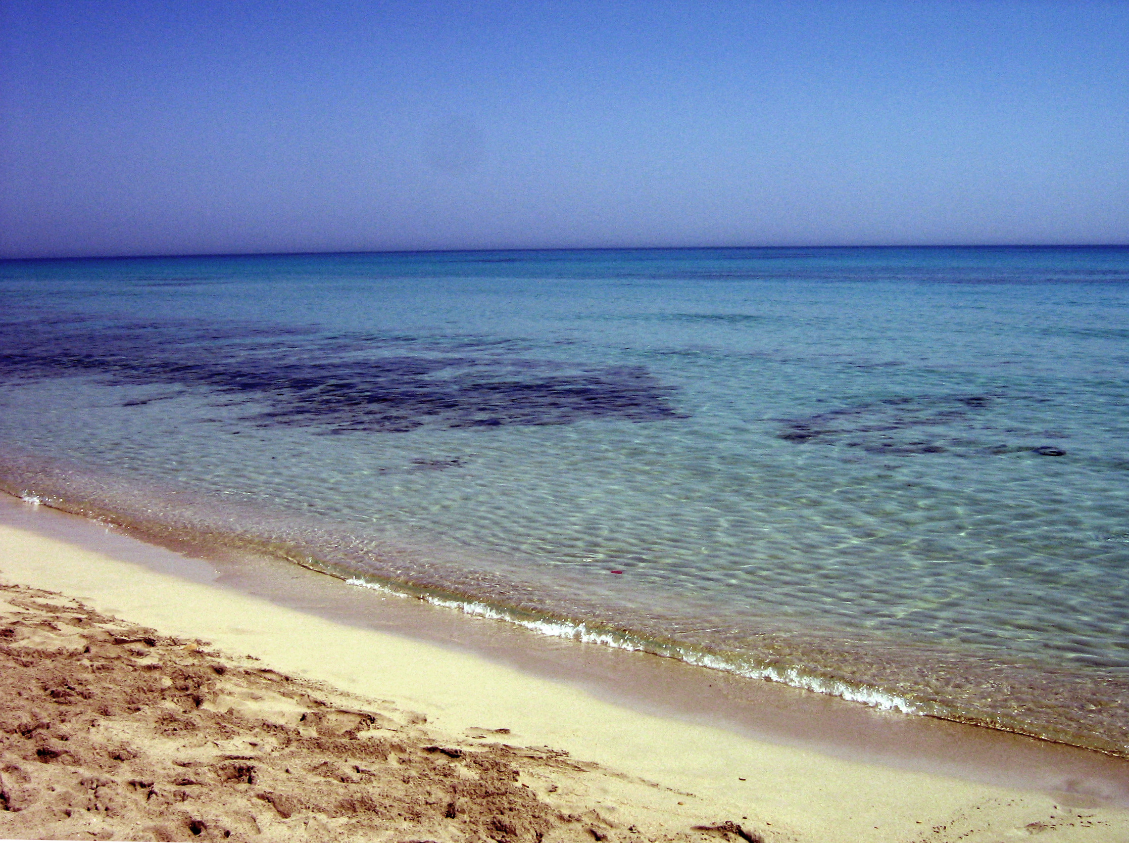وجهتك المفضلة